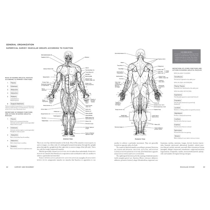 McMurtrie's Human Anatomy Coloring Book
