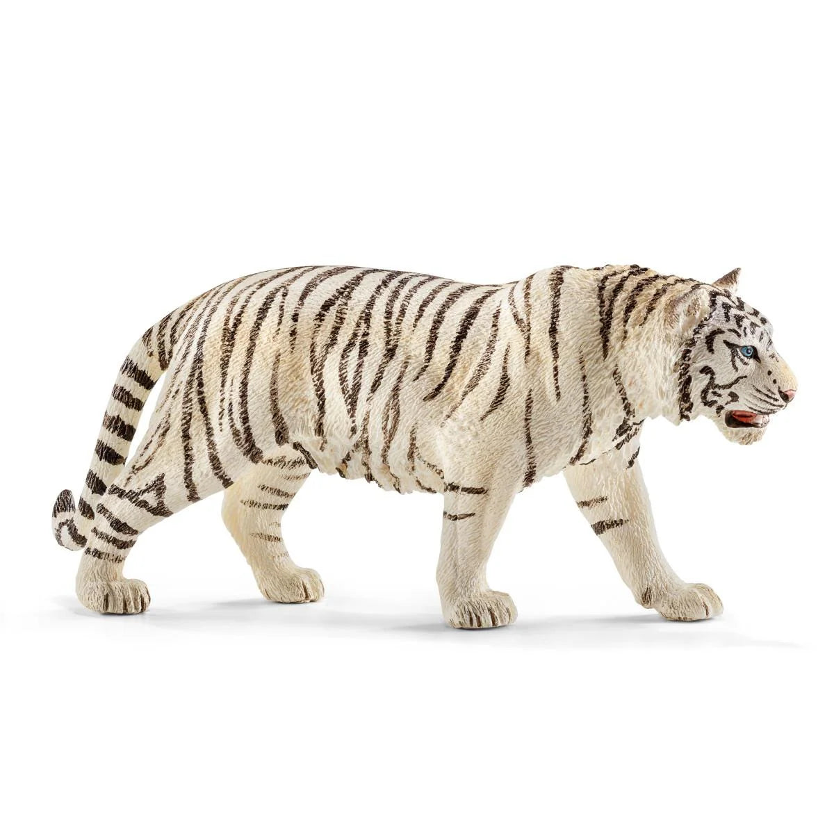 Tiger, White