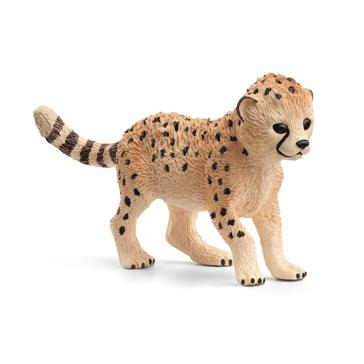 Cheetah Cub (Retired)