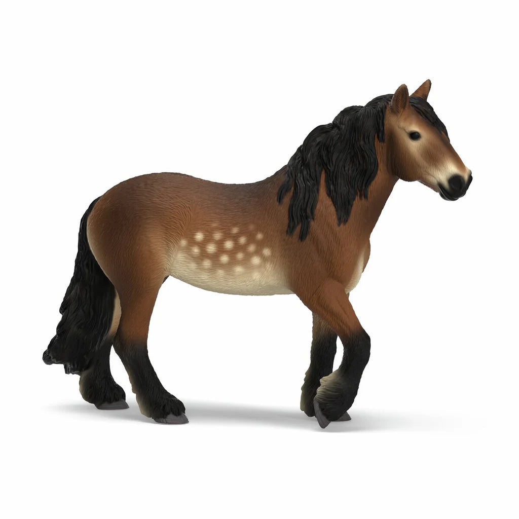 North Swedish Cold Blooded Mare
