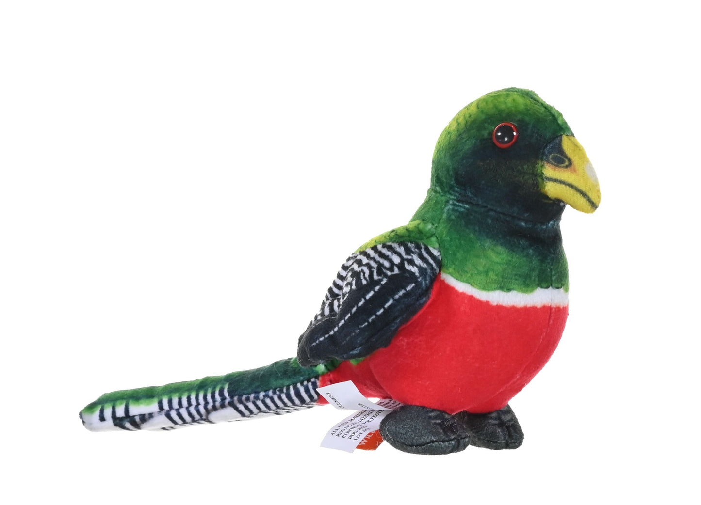 Rainforest Collared Trogon