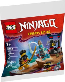 Lego Arin vs. Dragonian Battle