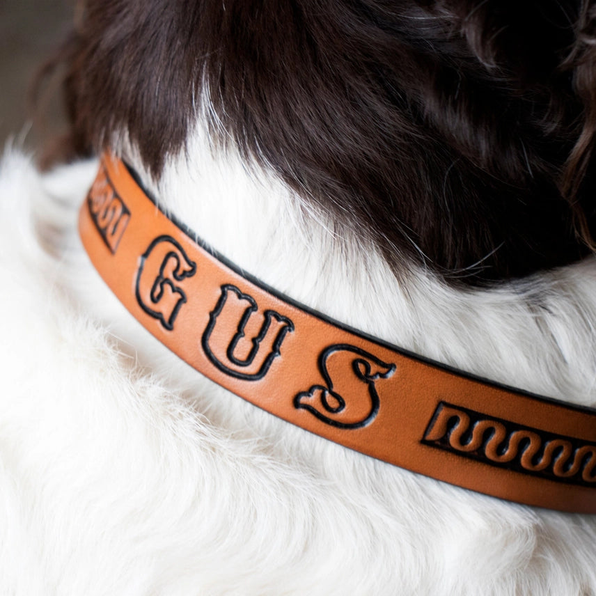Realeather Dog Collar Kit