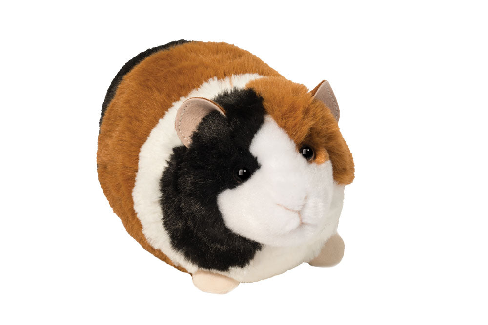 Pippin Guinea Pig