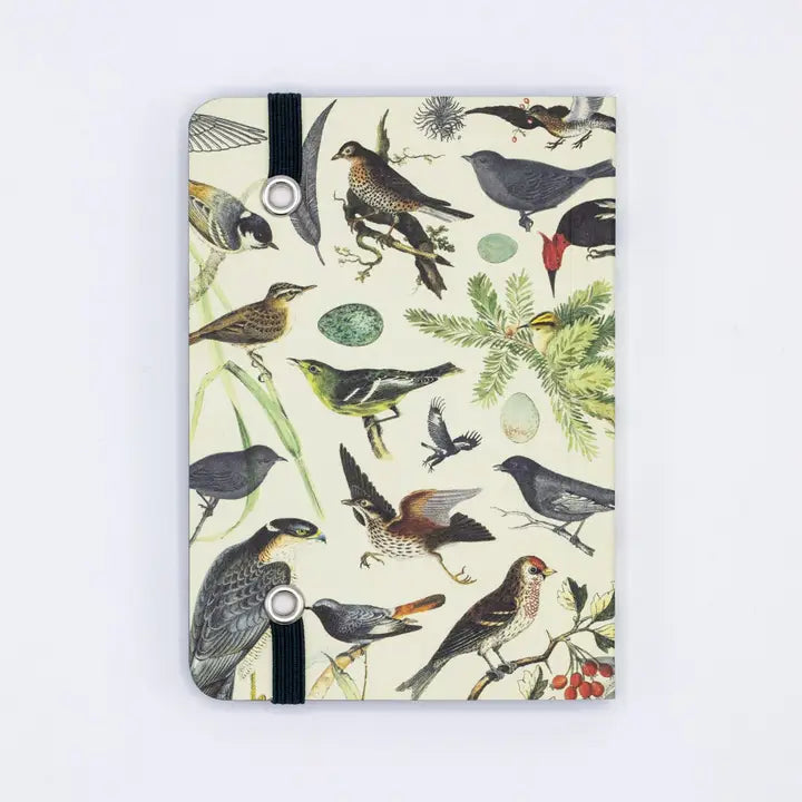 Birds & Feathers Observation Softcover Notebook