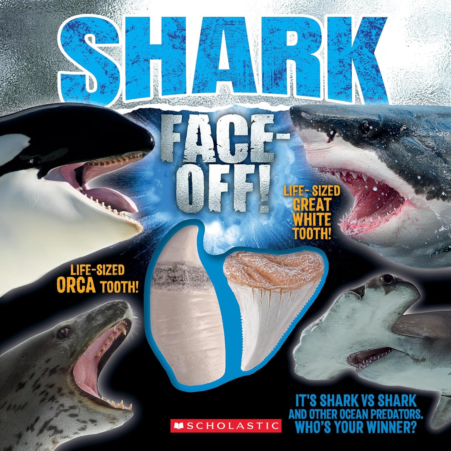 Shark Face-Off!