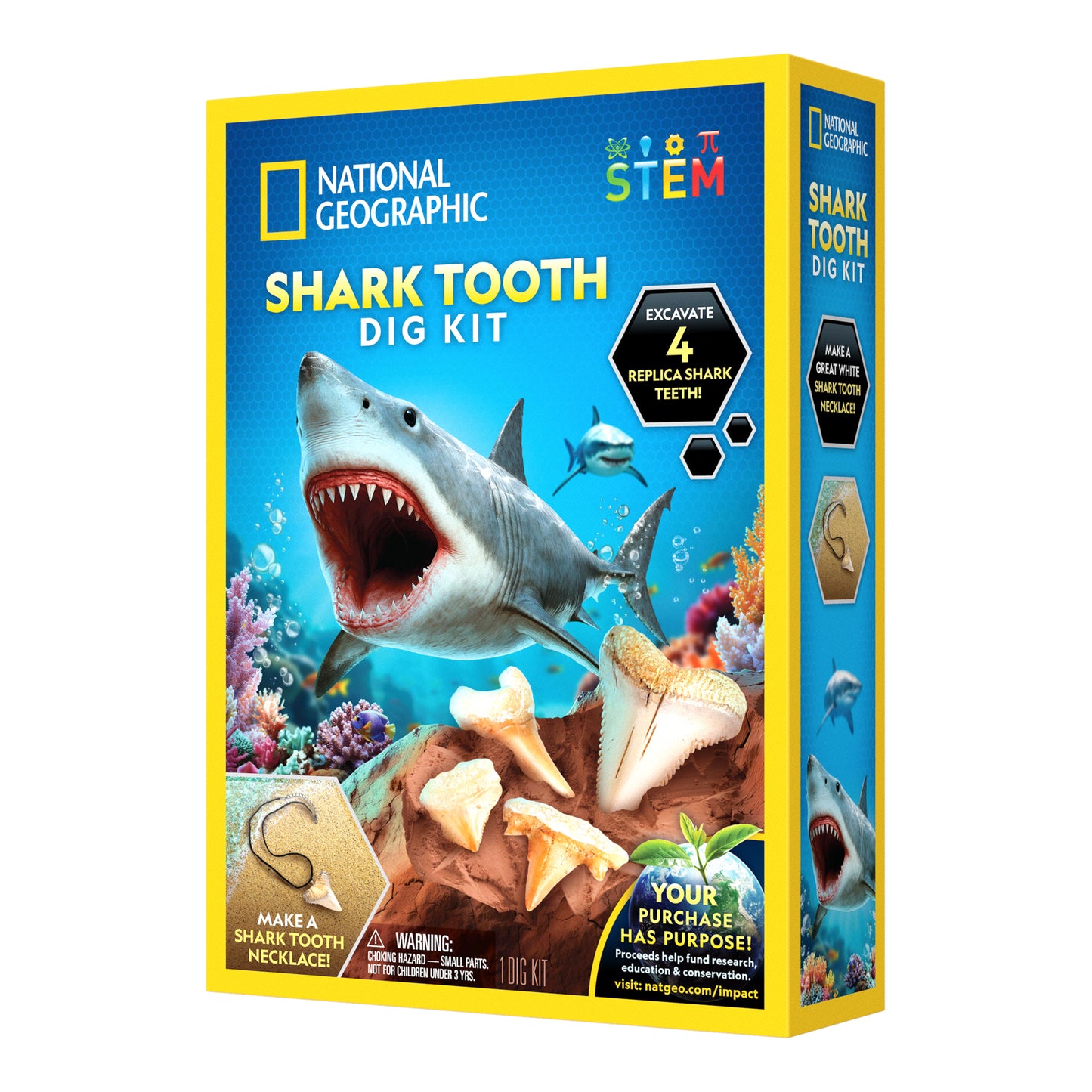 Shark Tooth Dig Kit