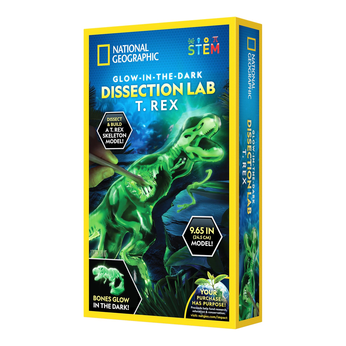 National Geographic Glow in the Dark T. Rex Dissection Lab