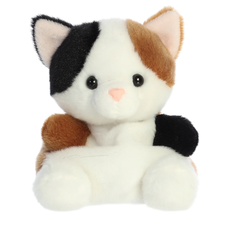 Peebs - Calico Cat