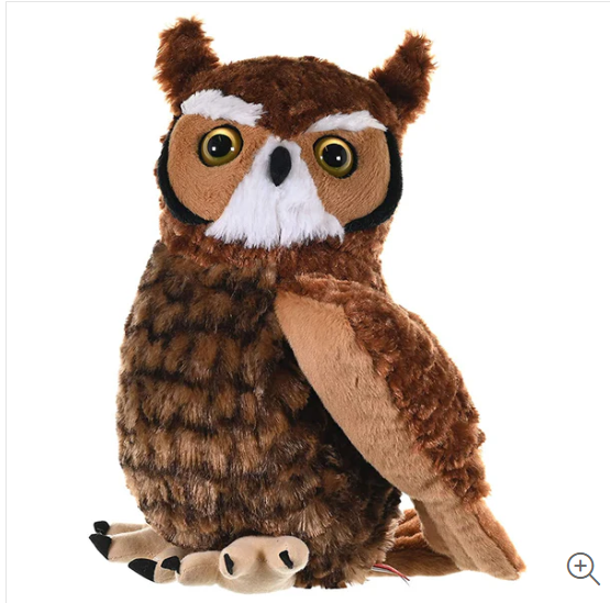 Great Horned Owl