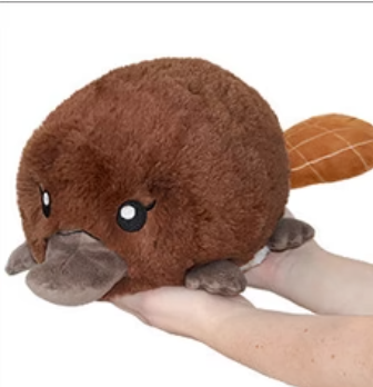 Mini Baby Playtpus