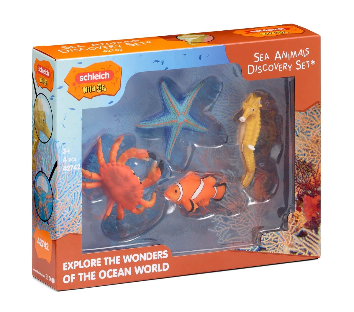 Sea Animal Discovery Set