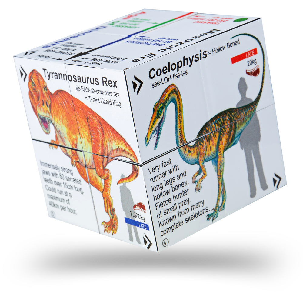 BigJigs Toys: Dinosaurs Cube Book