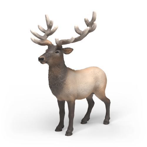 Elk