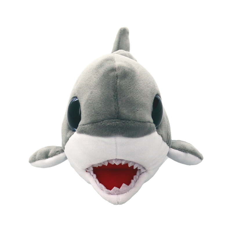 Finnegan The Gray Shark