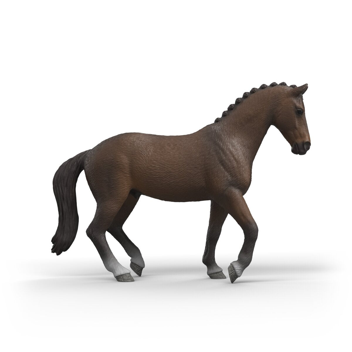 KWPN Gelding