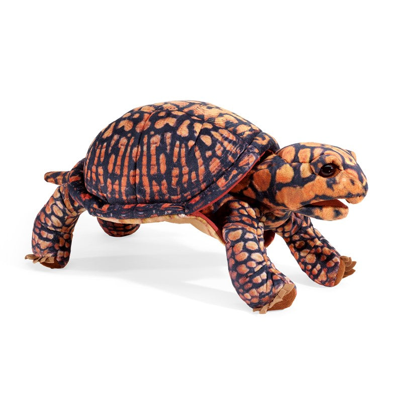 Box Turtle Puppet