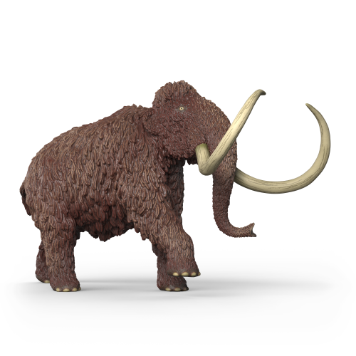 Mammoth
