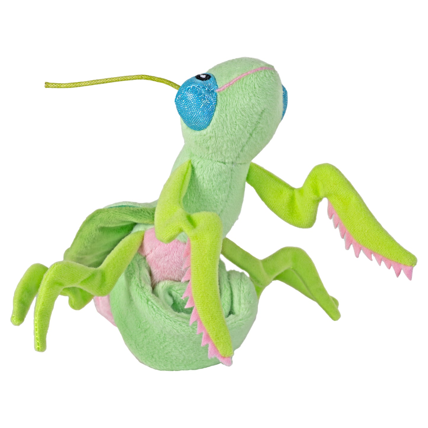 Huggers Praying Mantis