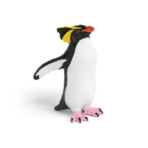 Rockhopper Penguin (03/2026)