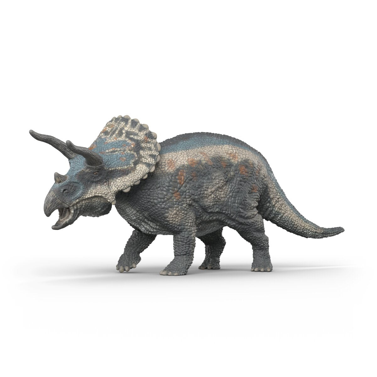 Triceratops