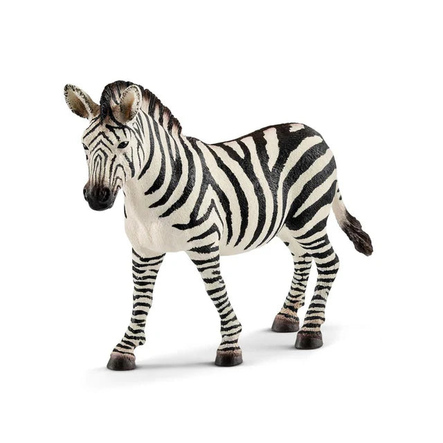Zebra (Retired)
