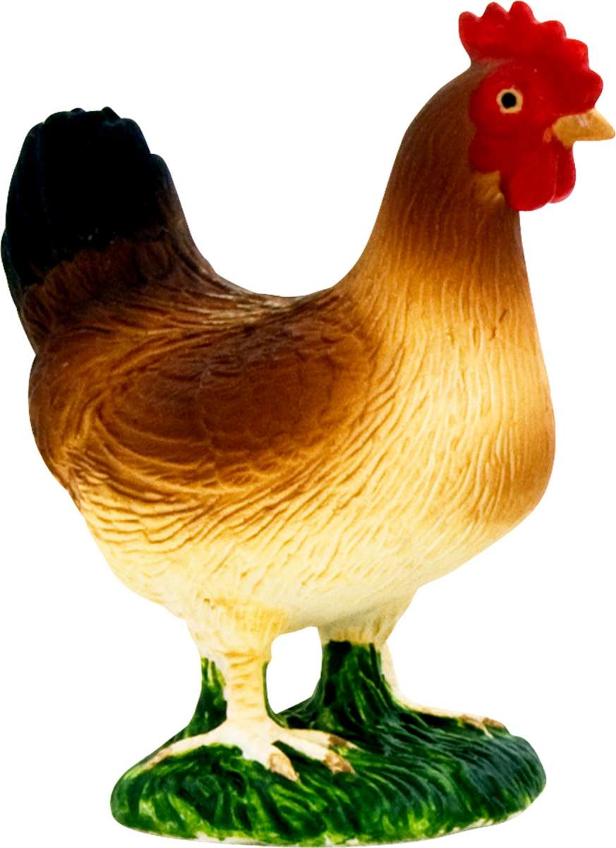 Mojo Hen Standing