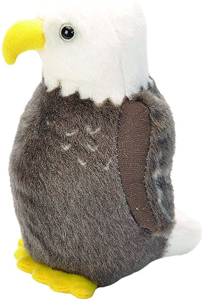 Audubon Bald Eagle