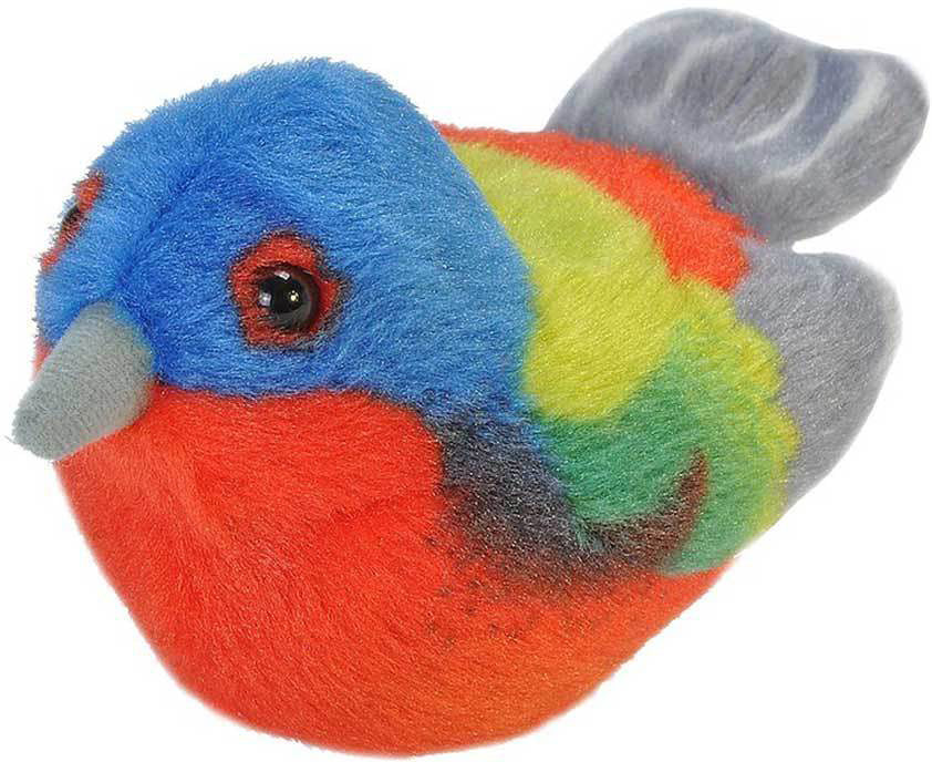 Audubon Painted Bunting