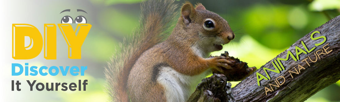 Enter the Natural Habitats of the Animal Kingdom This Summer