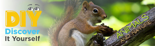 Enter the Natural Habitats of the Animal Kingdom This Summer