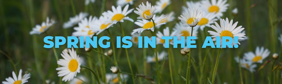 Explore the Outdoors and More this Springtime