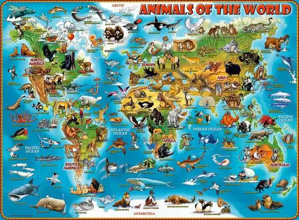 Animals of the World 300 Piece XXL Puzzle
