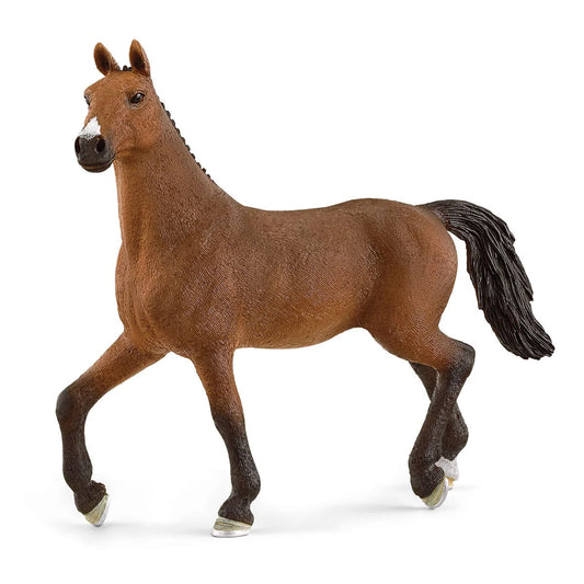 Oldenburg Mare