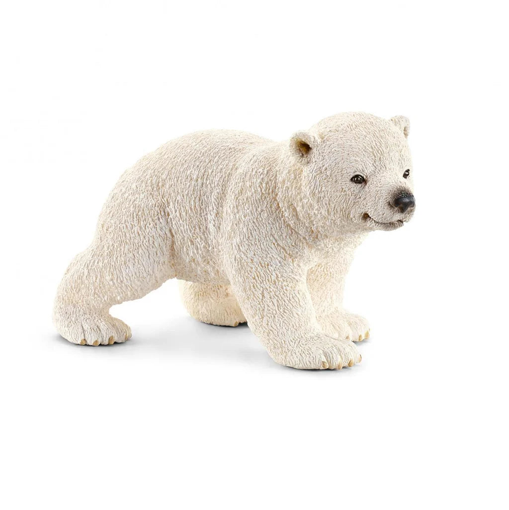 Polar Bear Cub (Walking)