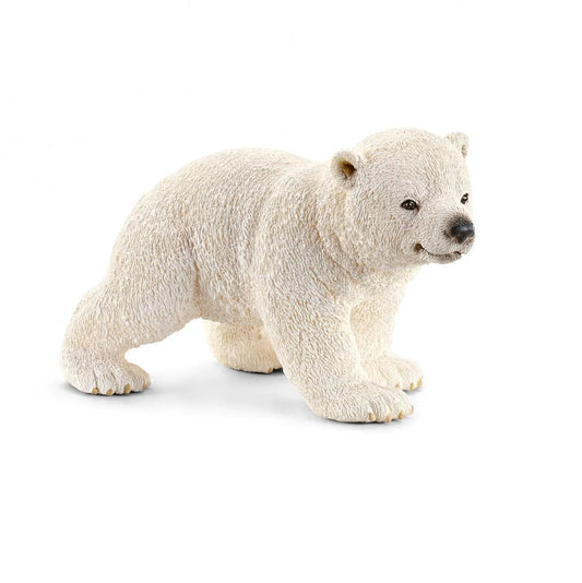 Polar Bear Cub (Walking)