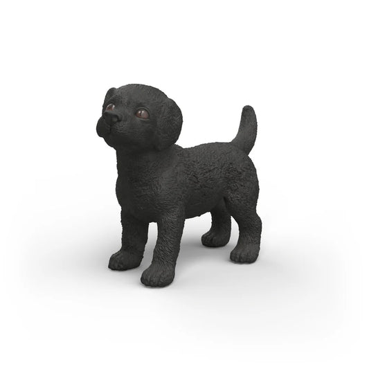 Black Labrador Retriever Puppy