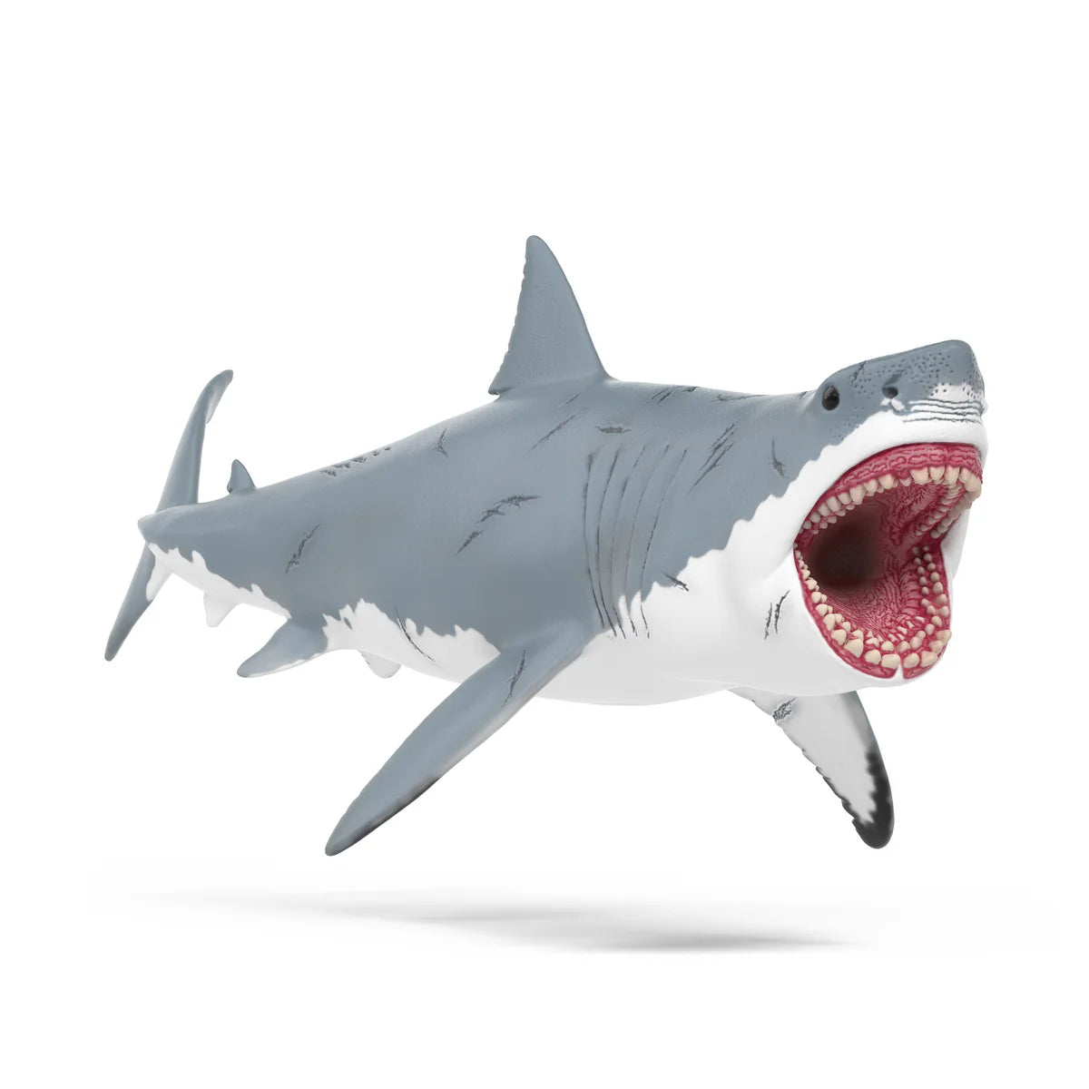 Megalodon Shark