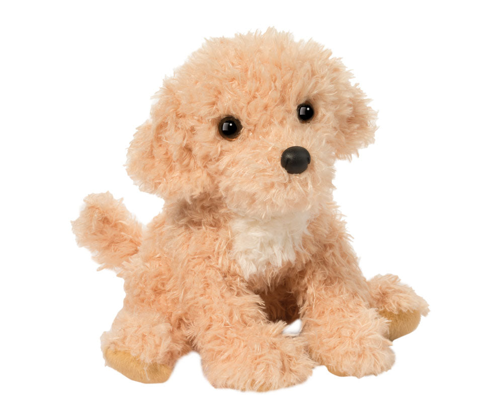 Noodle Goldendoodle