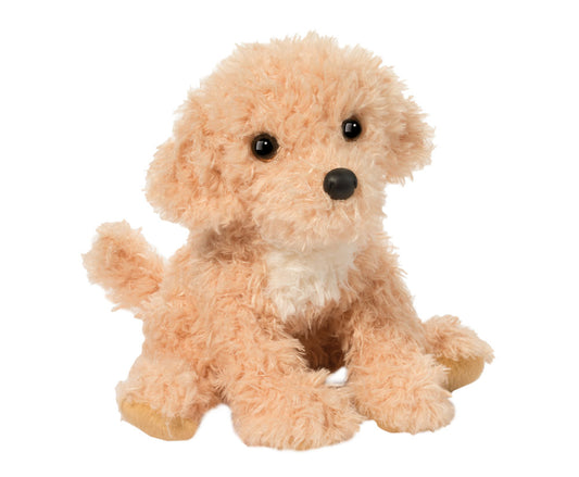 Noodle Goldendoodle