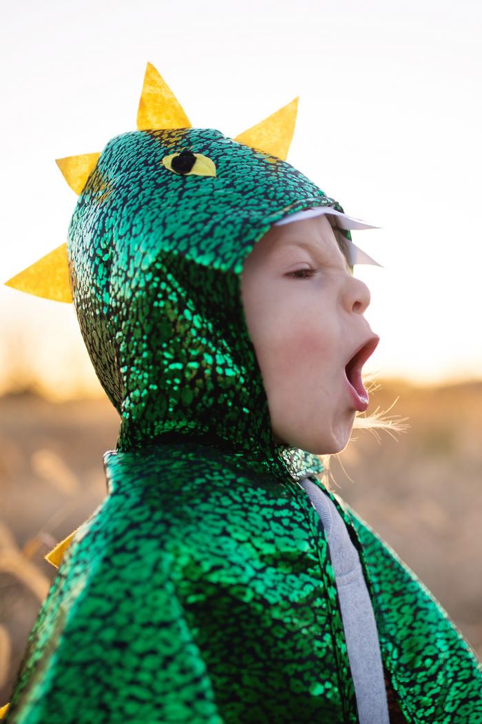 Dragon Toddler Cape