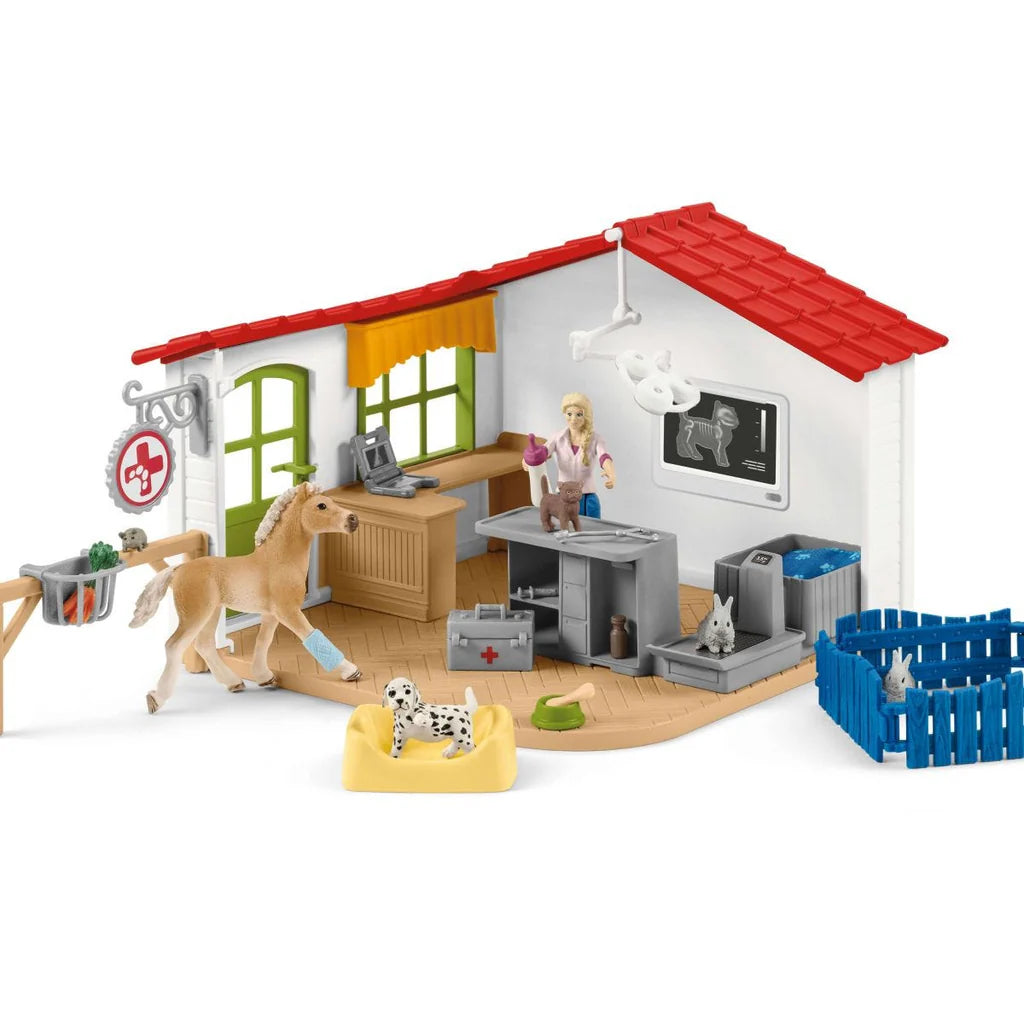 Veterinarian Practice with Pets