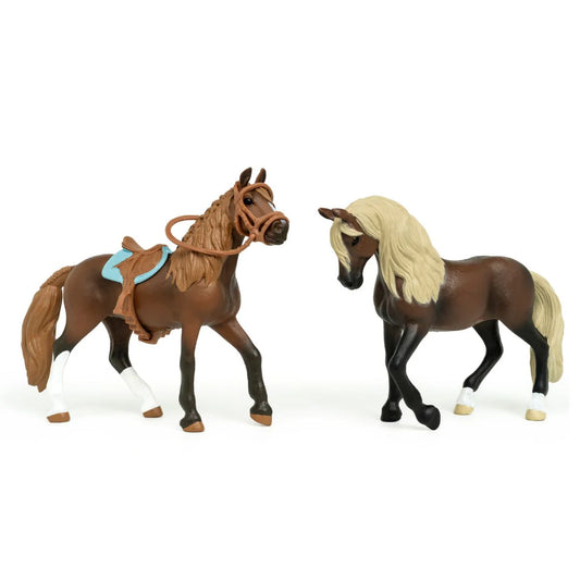 Horse Club Paso Peruano