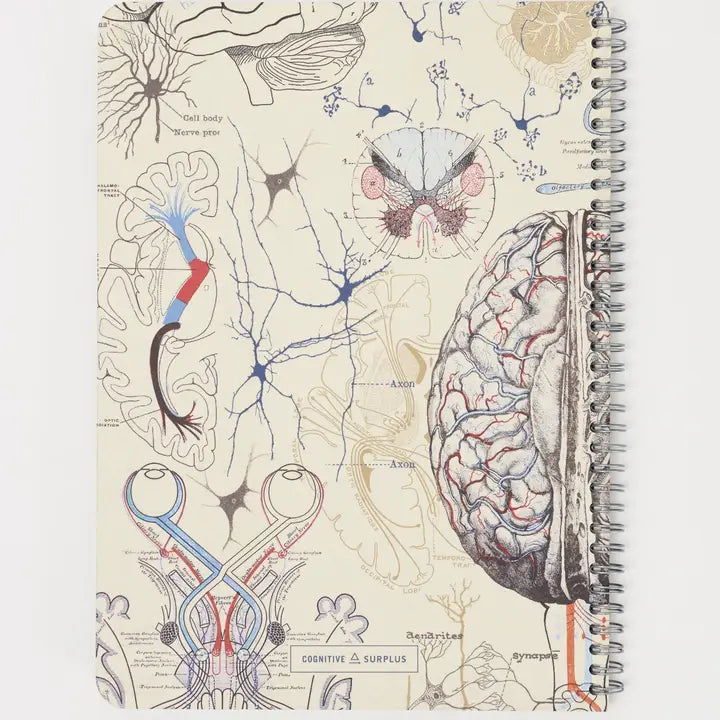 Brain & Neuroscience Spiral Notebook