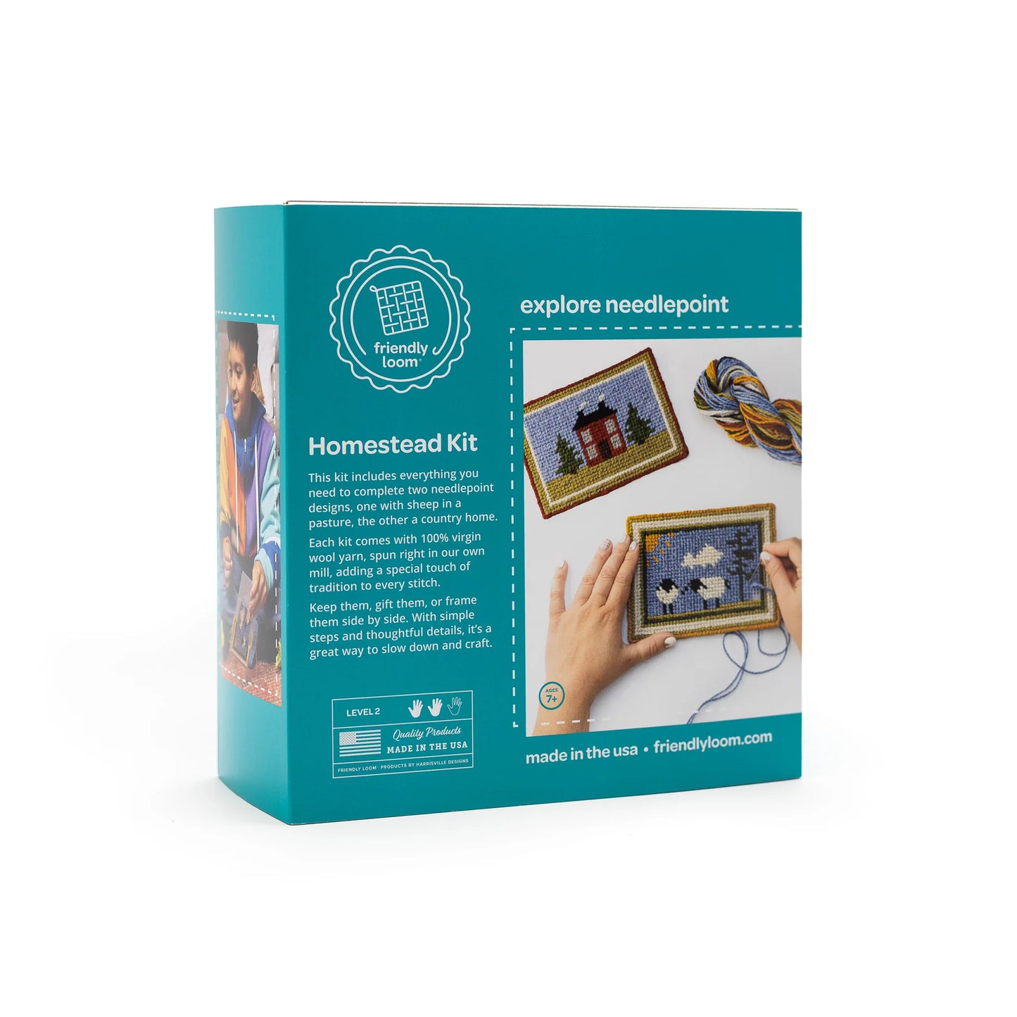 Needlepoint Homestead Kit