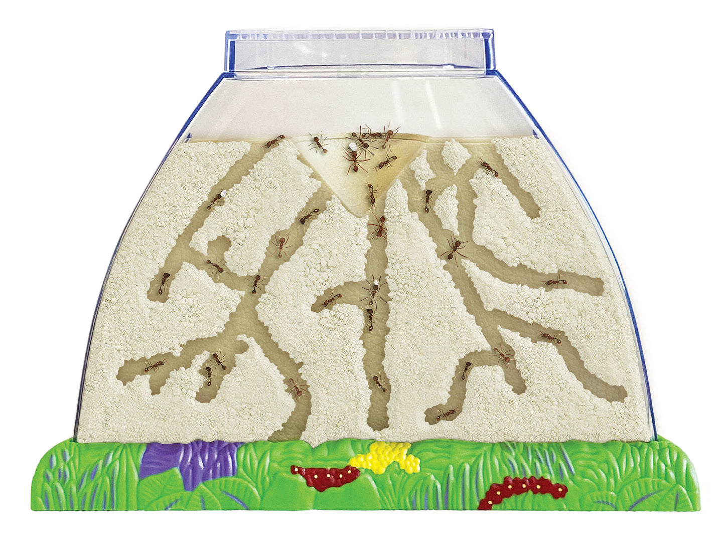 Ant Hill Tunneling Kit