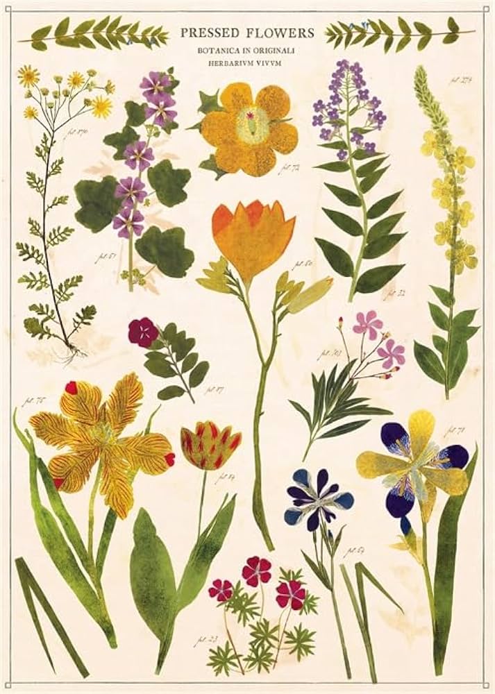 Cavallini Papers & Co. Inc Posters