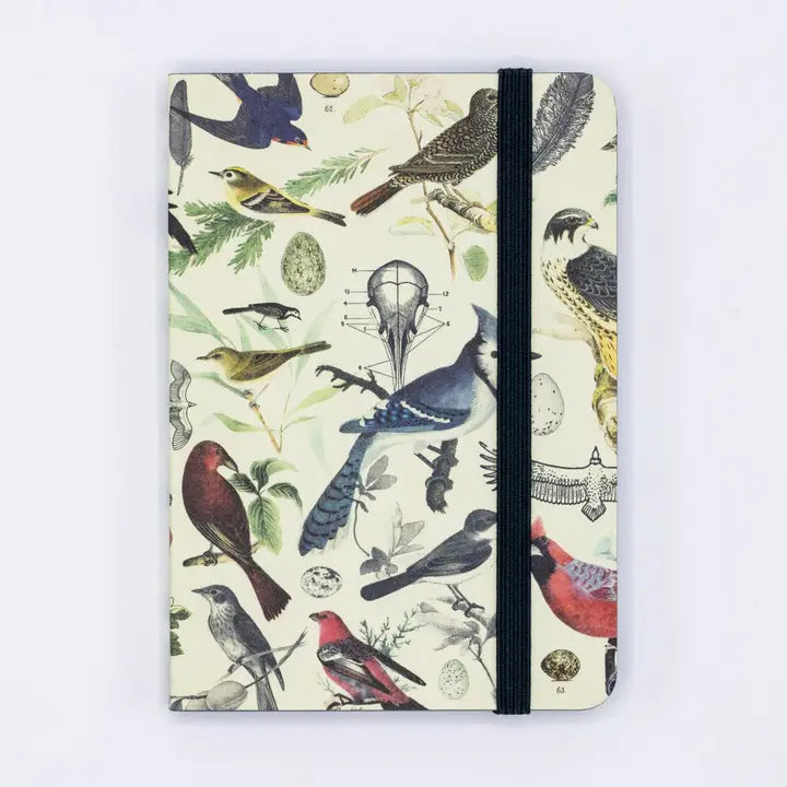 Birds & Feathers Observation Softcover Notebook