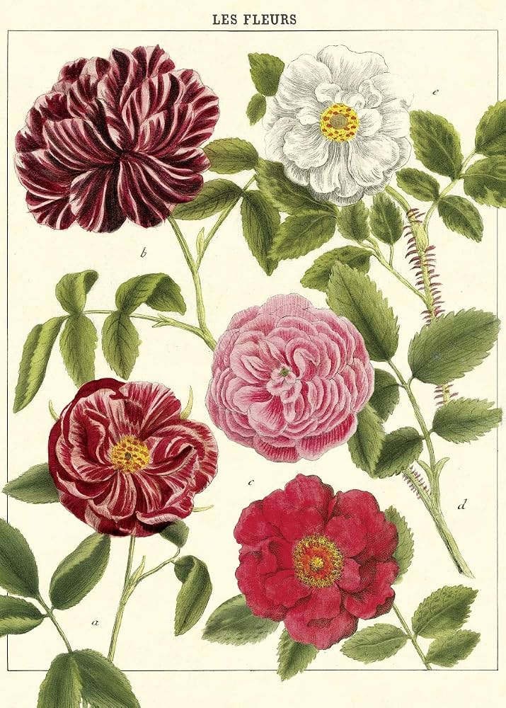 Cavallini Papers & Co. Inc Posters