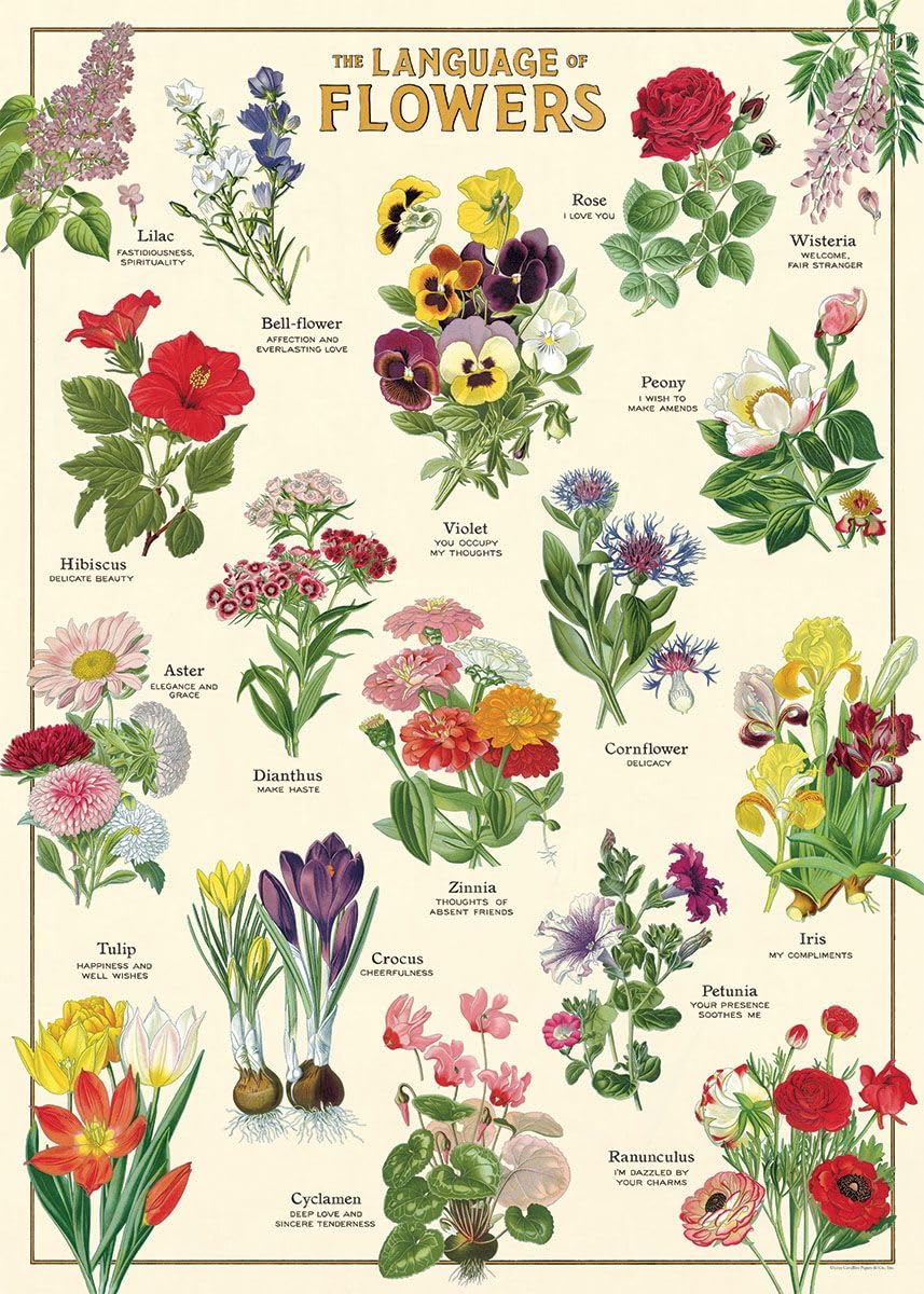 Cavallini Papers & Co. Inc Posters